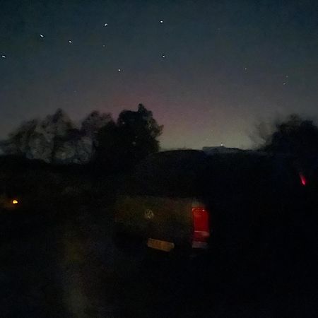 Holly Tree Glamping Cabins Wigglesworth Εξωτερικό φωτογραφία